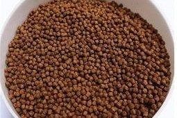 诱饵 第一季,暗网深处的生死较量