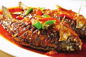 我本非鱼烧尾成龙,一段非凡的蜕变之旅