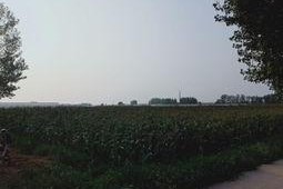 我有良田三千亩,谱写乡村致富新篇章