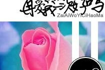 妈妈，爱我一次好不好,请用爱为我点亮人生